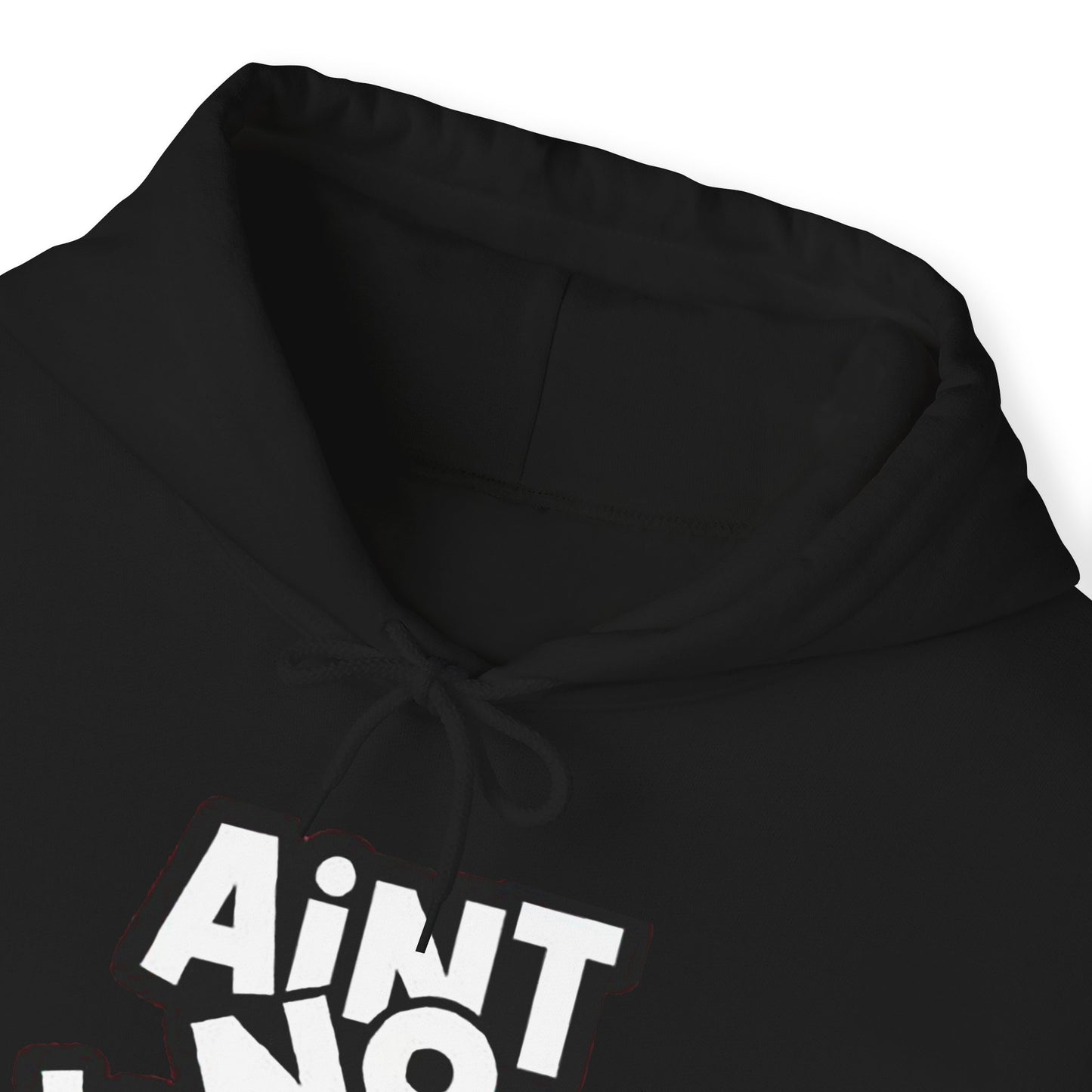 Aint No Wifey Like The one I Got | Unisex Heavy Blend™ Hoodie